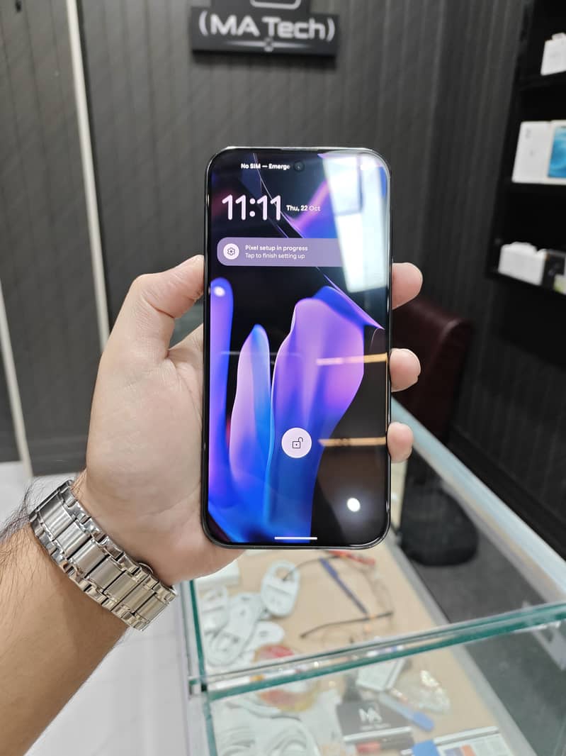 Google Pixel 9 Pro XL 1