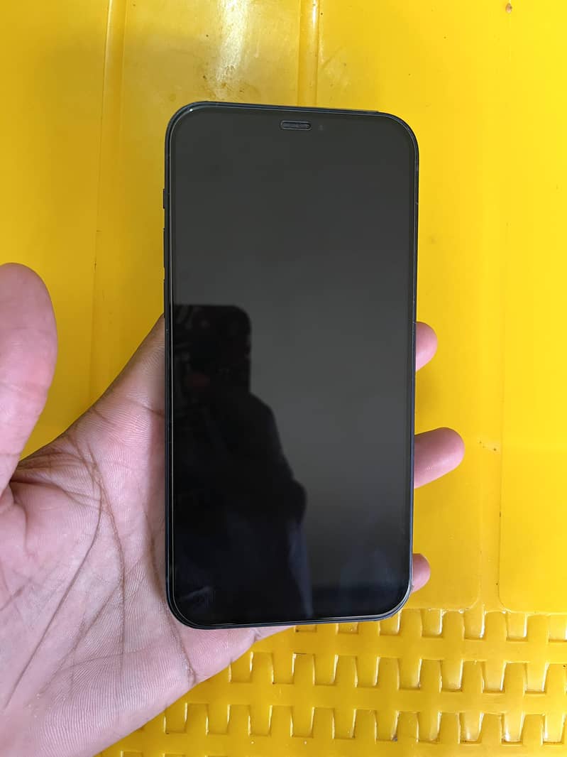 Apple iPhone 12 0