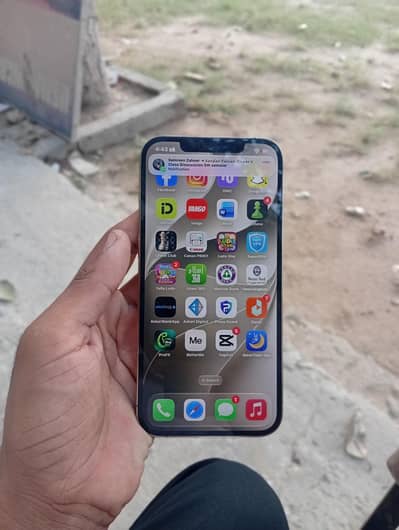 Apple iPhone 12 Pro Max