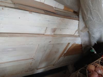 Wooden/Interior Doors for Sale – Excellent Quality (5 Pieces Total)