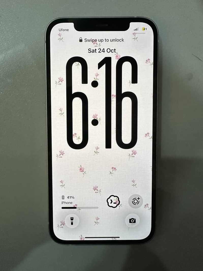 Apple iPhone 12 1