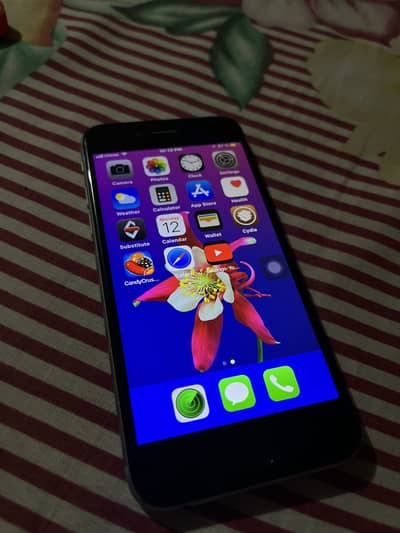 Apple iPhone 6