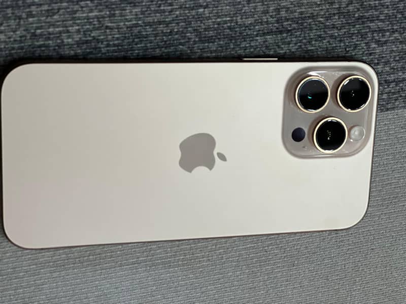 Apple iPhone 16 Pro Max 1