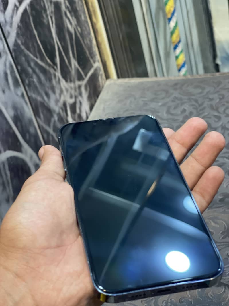 Apple iPhone 13 Pro Max 1