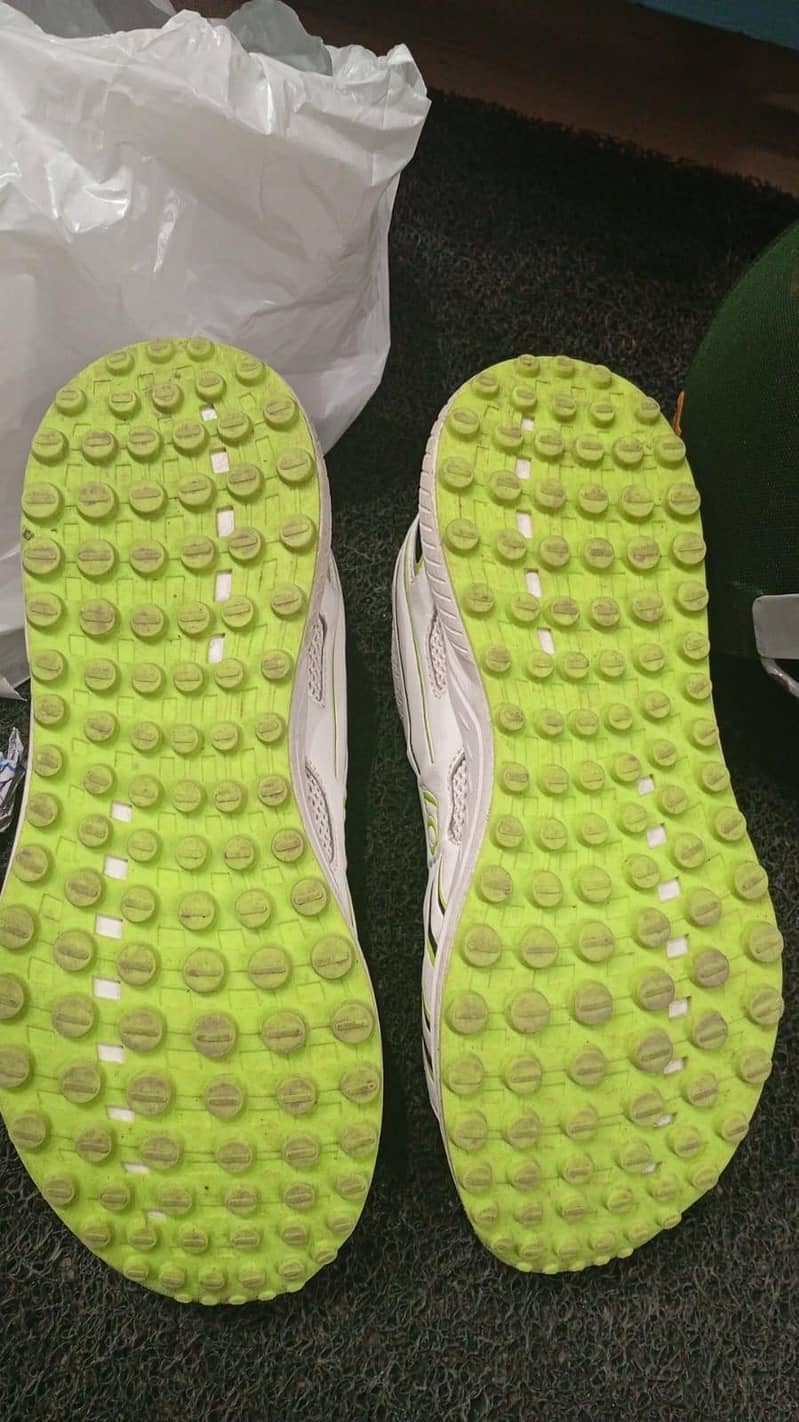 Cricket kit 9