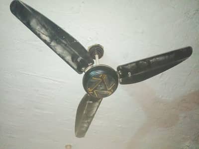 Fan tecno feeling fan 56" New hai warray main hai