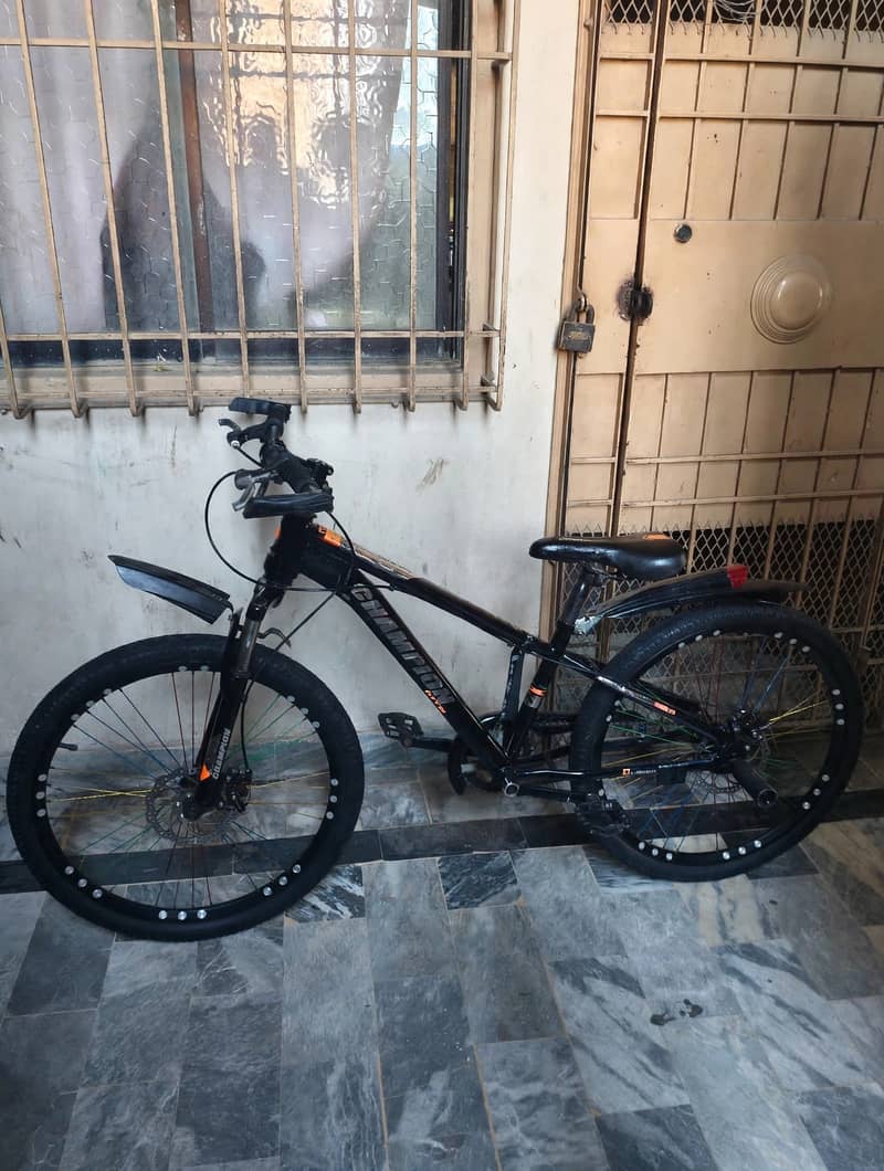 Mountain bicycle 0