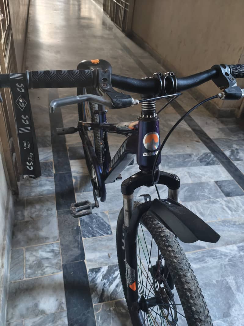 Mountain bicycle 1