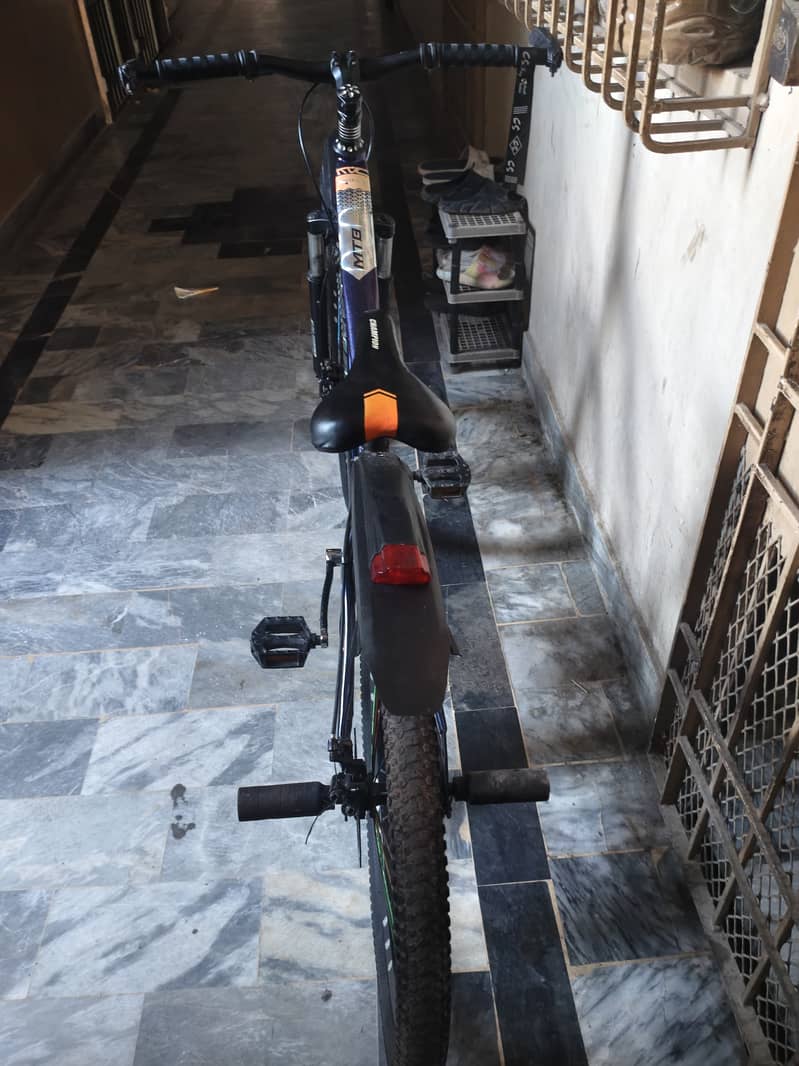 Mountain bicycle 2