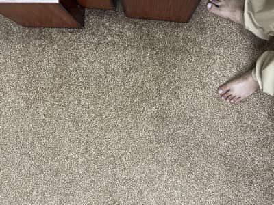 Carpet & underlay for sale