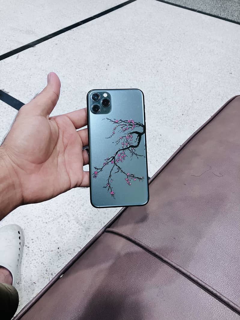 Apple iPhone 11 Pro Max 1