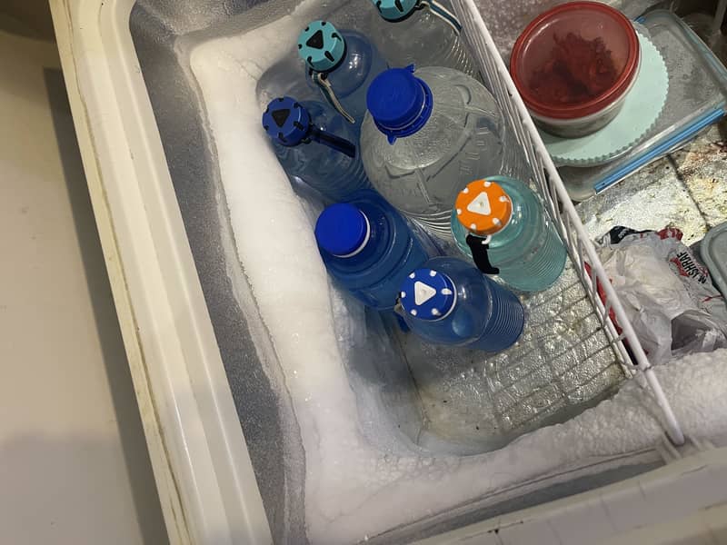 Waves deep freezer 2