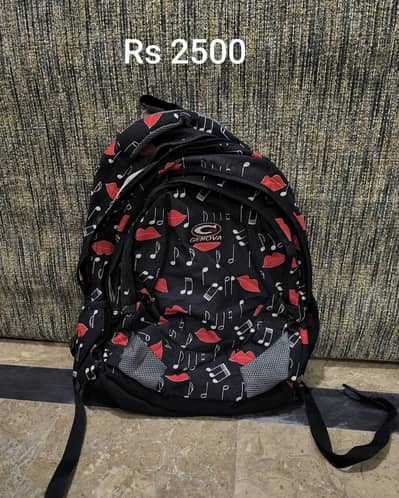 school bags and handcarry