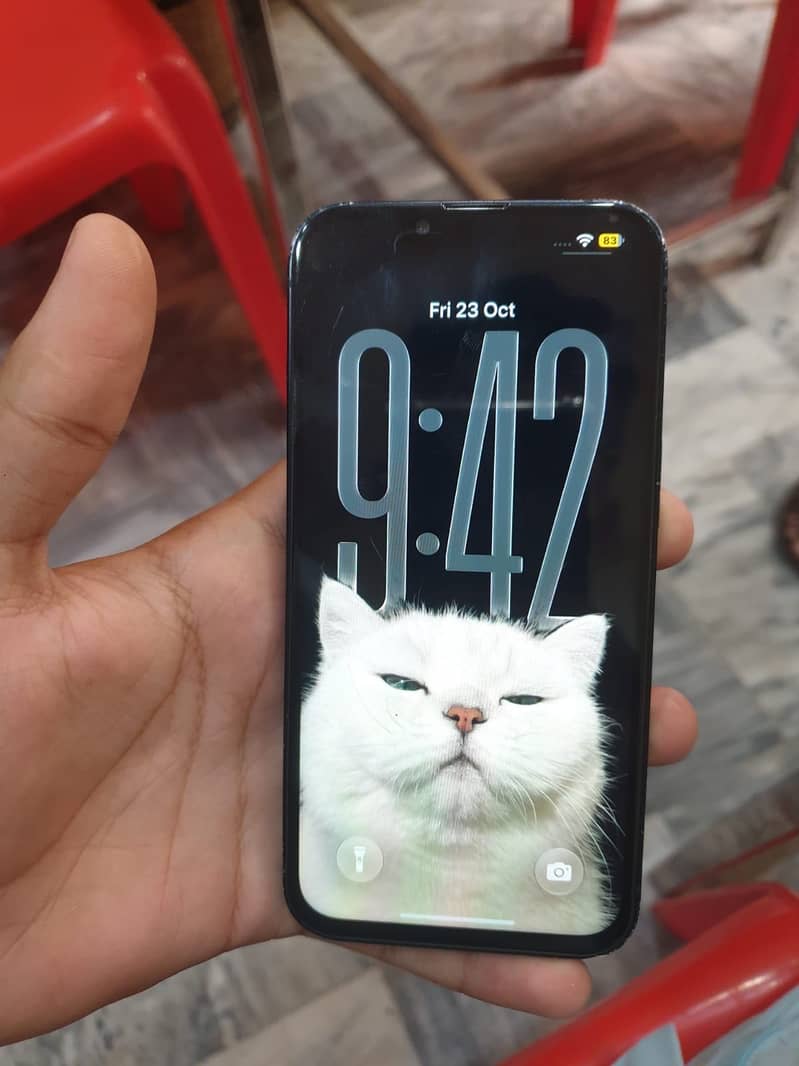 Apple iPhone 13 1