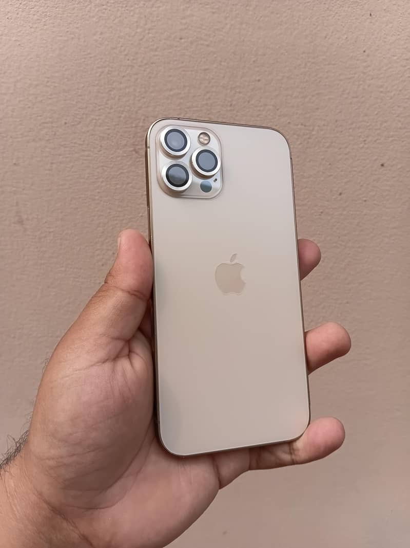 Apple iPhone 12 Pro Max 1