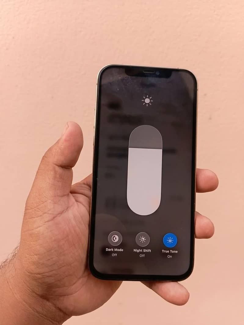 Apple iPhone 12 Pro Max 2