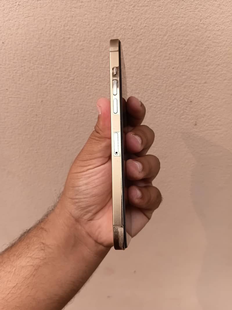 Apple iPhone 12 Pro Max 7