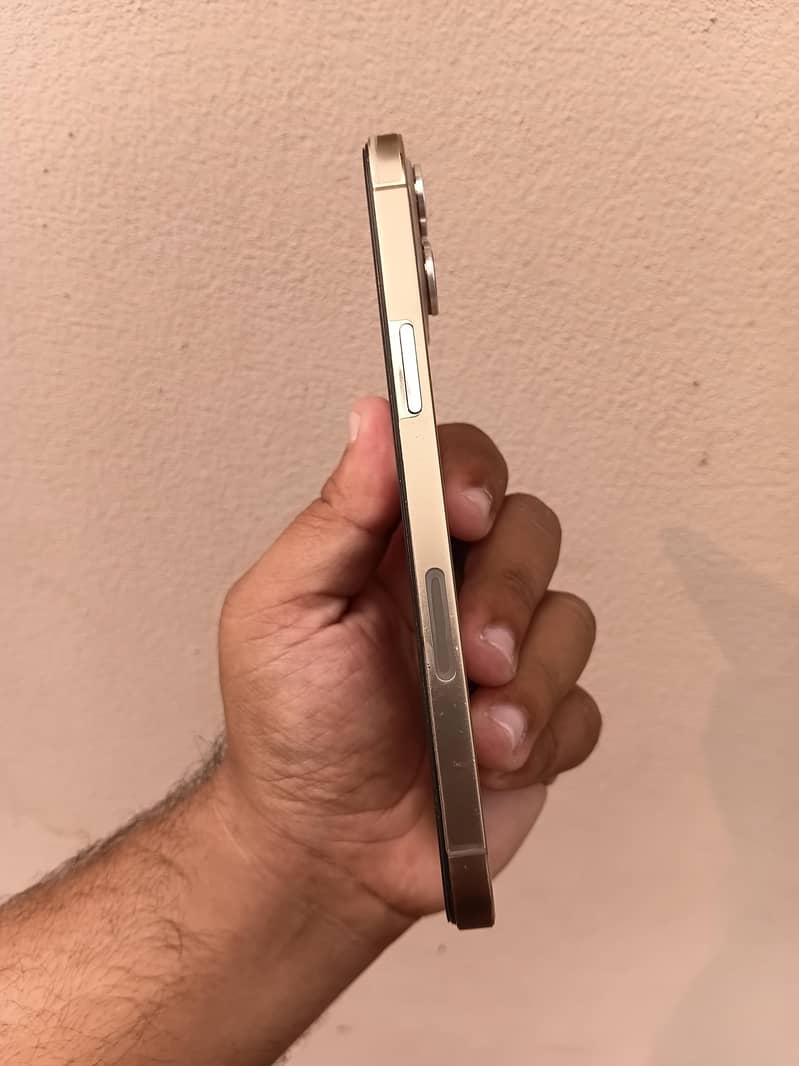 Apple iPhone 12 Pro Max 9