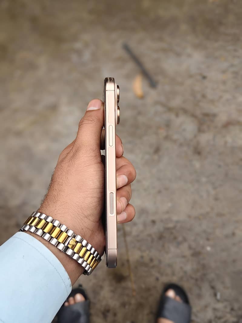 Apple iPhone 16 Pro Max 1