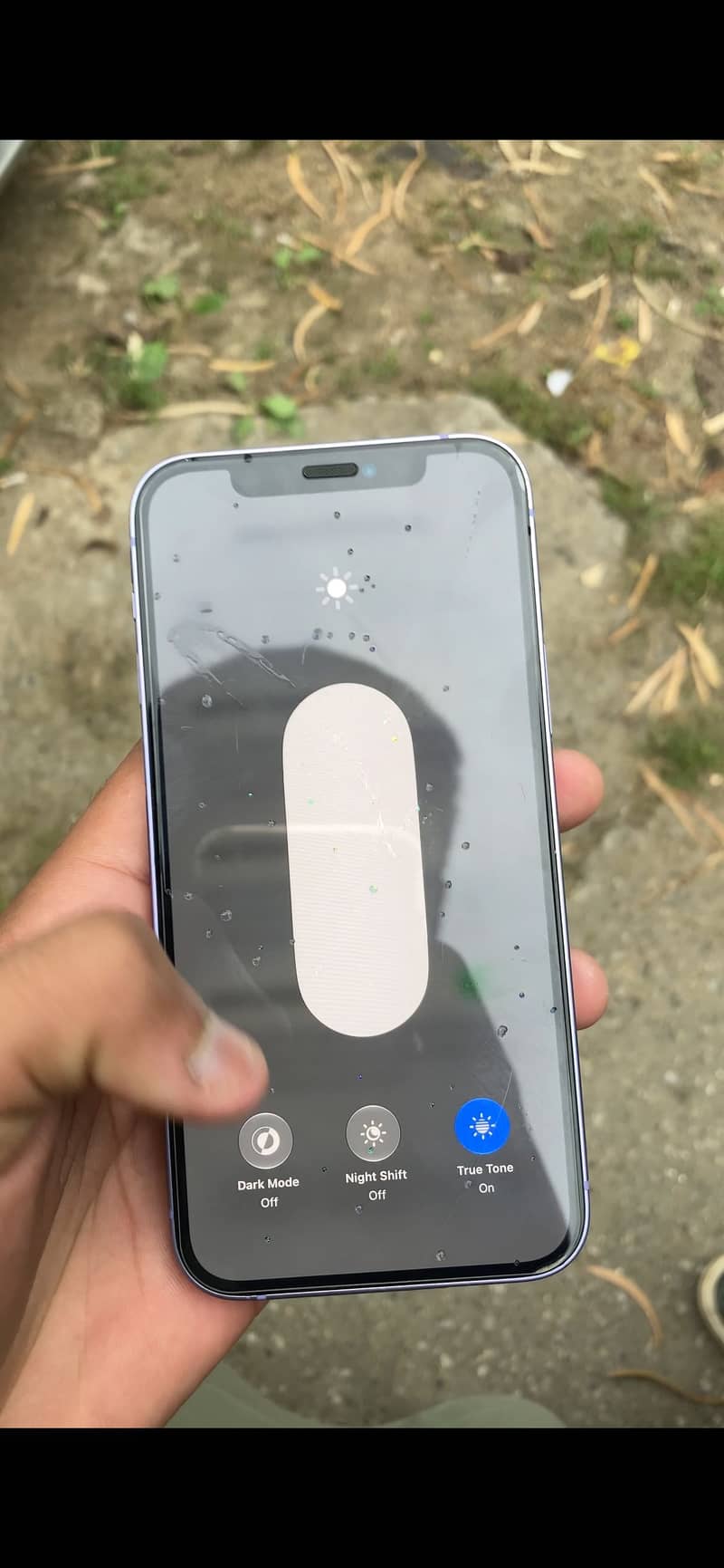 Apple iPhone 12 5