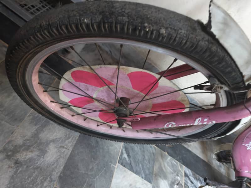 kids cycle 2