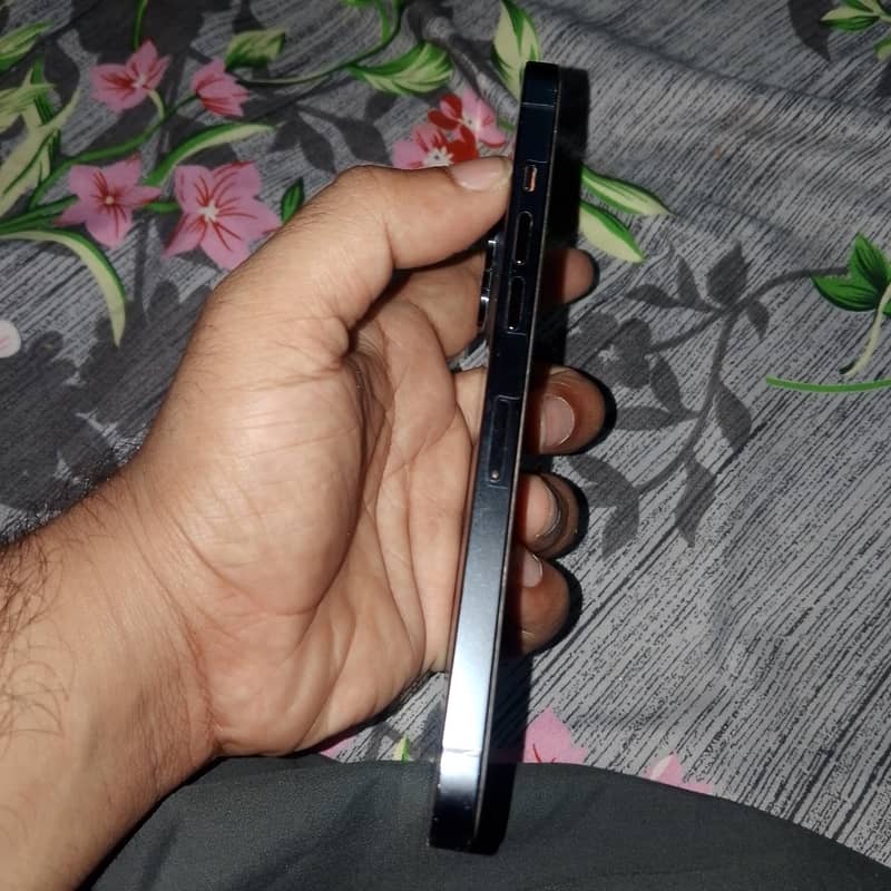 Apple iPhone 12 Pro Max 1