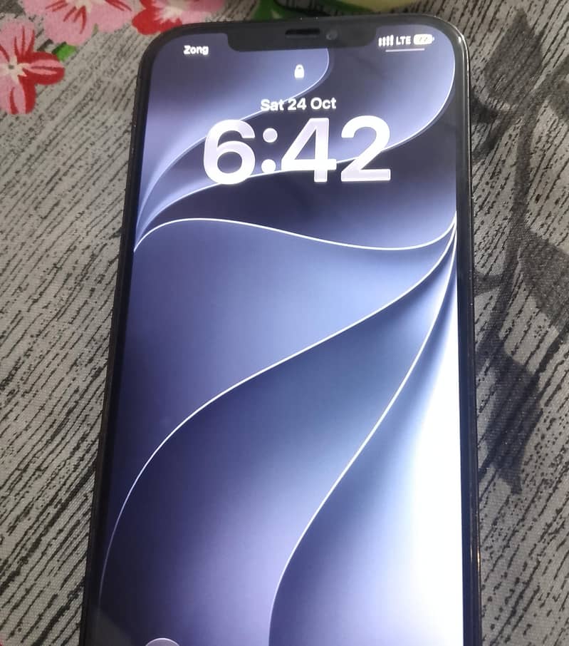 Apple iPhone 12 Pro Max 2