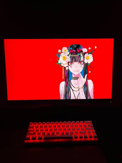 Lenovo 24inch IPS 2K Borderless Gaming Monitor