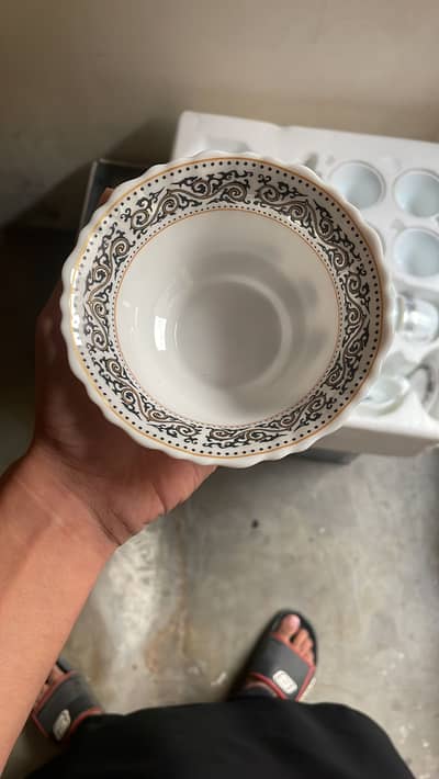 Bone china dinner set