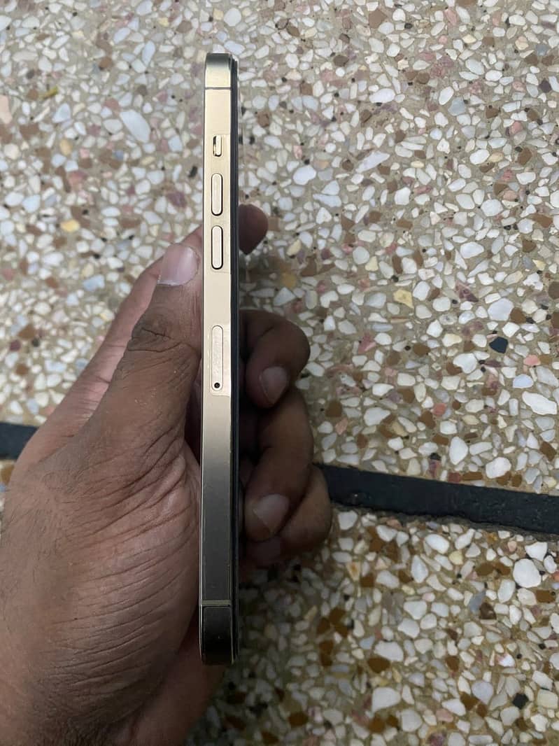Apple iPhone 12 Pro Max 4