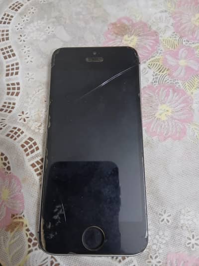 Apple iPhone 5s