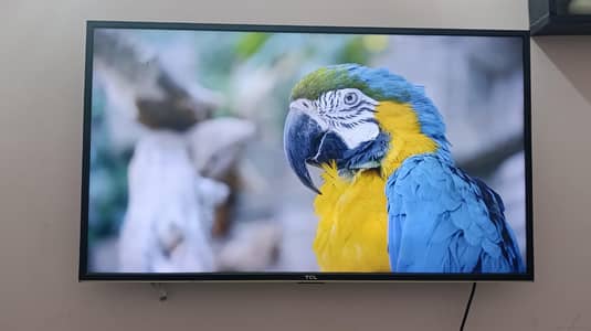 TCL Smart Android LED TV For SALE