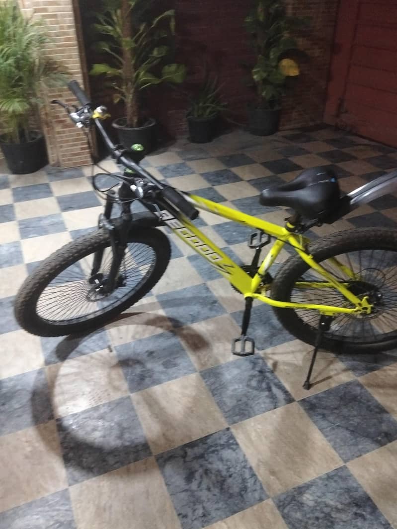 Bicycle 4