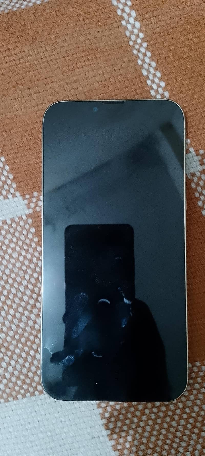 Apple iPhone 13 Pro Max 1