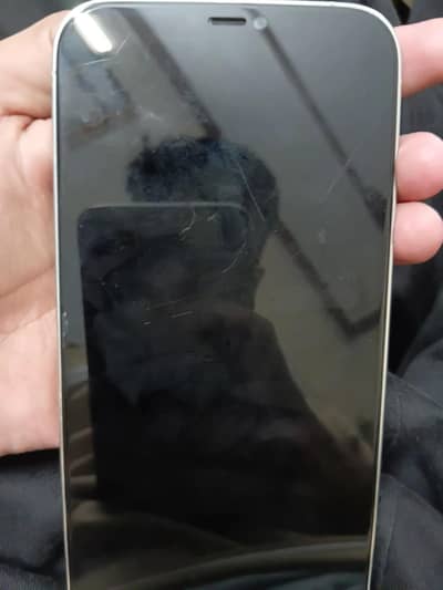 Apple iPhone 12 Pro Max