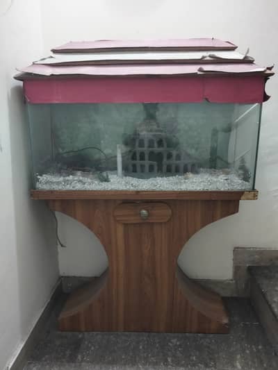 Fish aquarium for sale