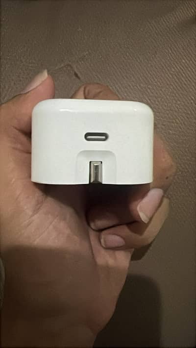 Apple Orignal Charger