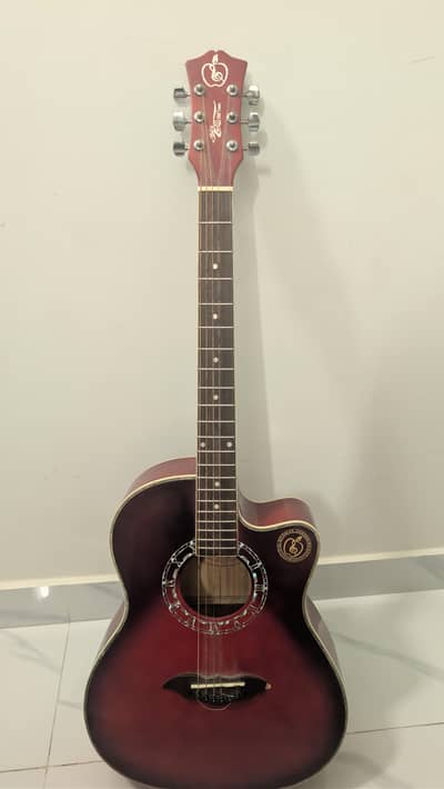 Acoustic Guitar RC