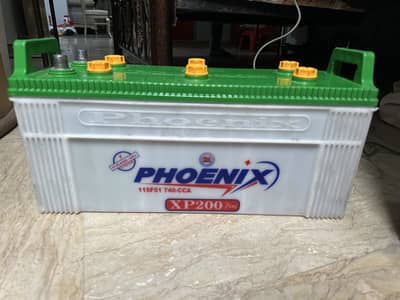 Phonix xp 200 21 plate brand new