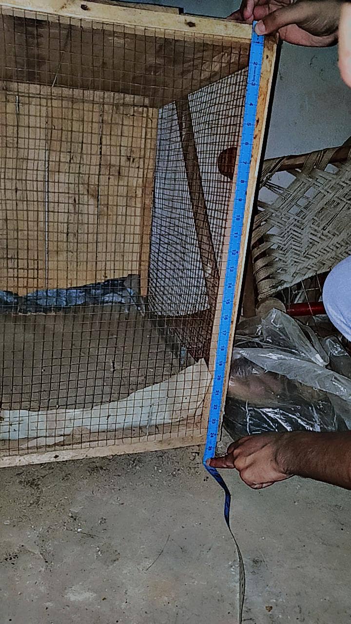 hen cage 0