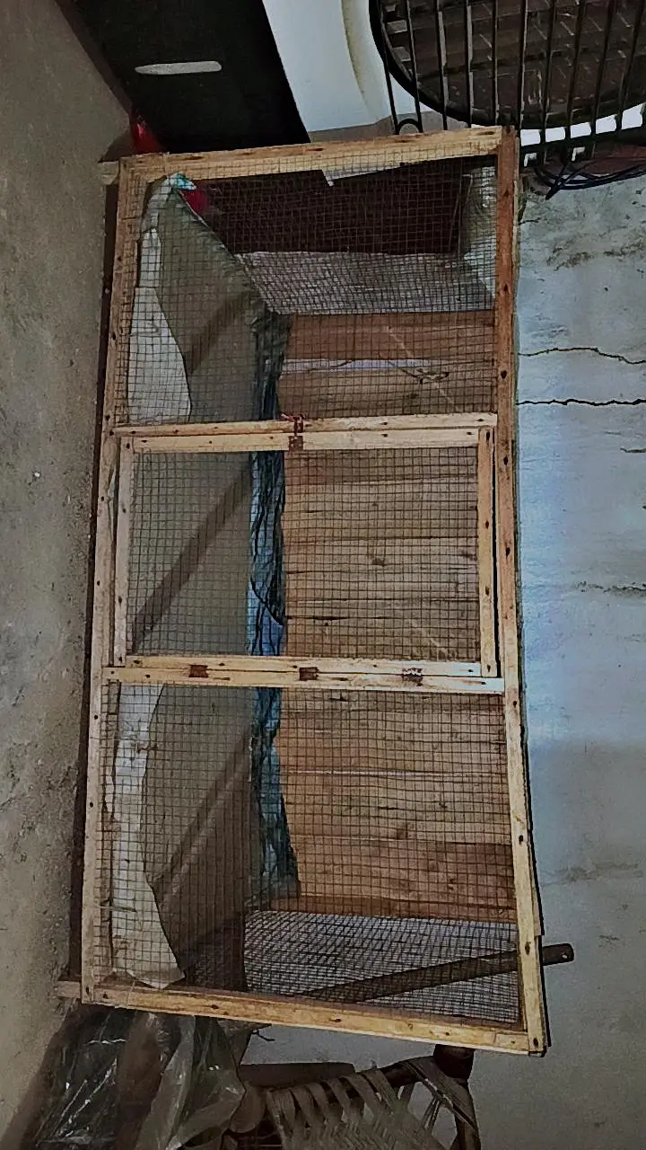 hen cage — photo 4