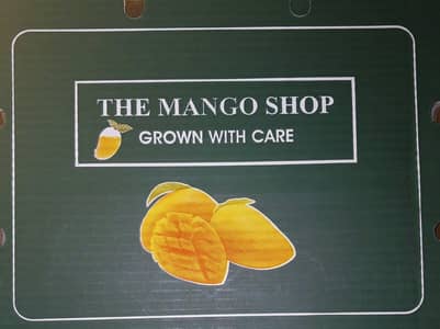 5KG Cardboard Cartons for Sale – Retail & Wholesale