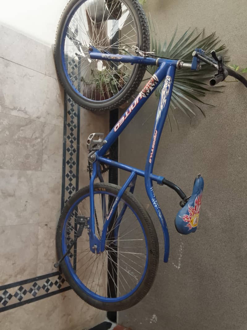 bicycle 1
