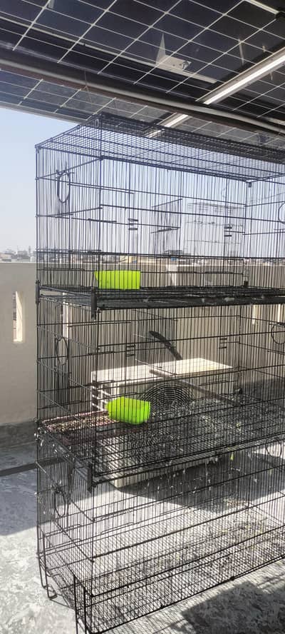 parrot cage for sale