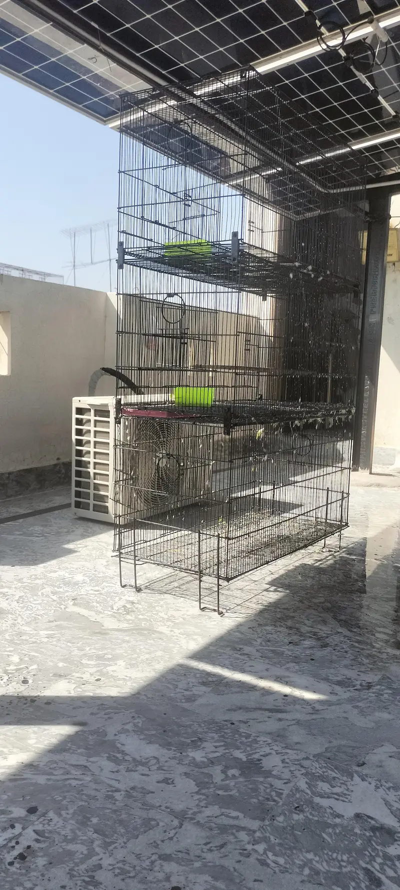 parrot cage for sale — photo 5
