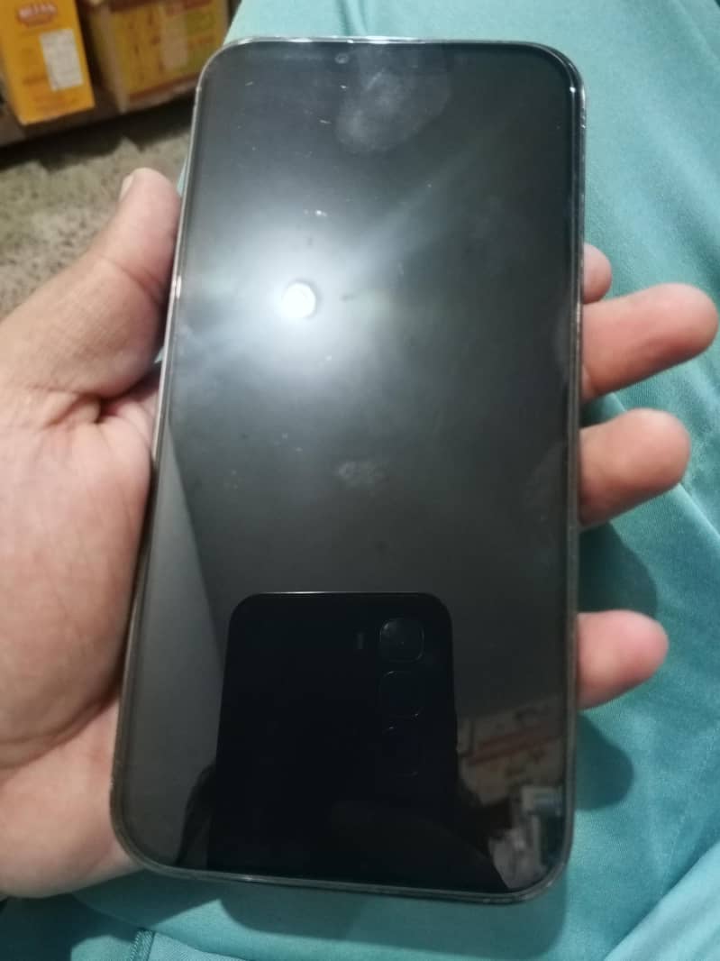 Apple iPhone 13 Pro Max 2