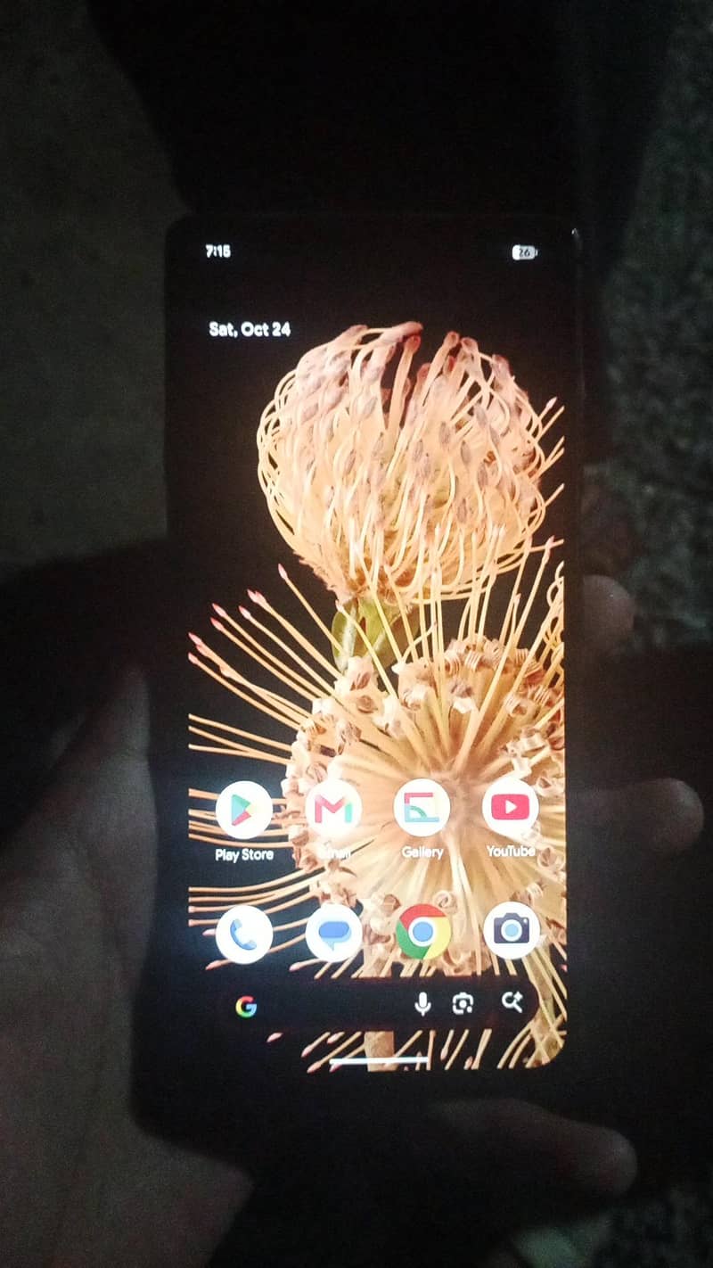 Google Pixel 6 3