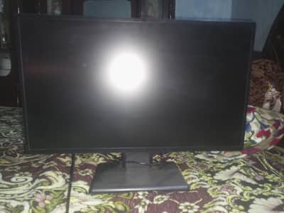 computer Monitor