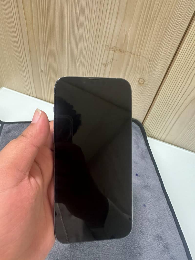 Apple iPhone 13 Pro Max 1