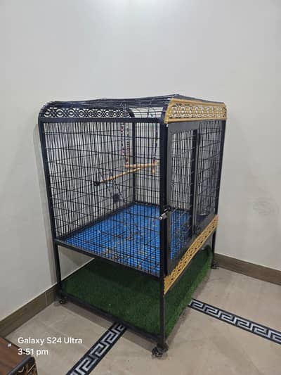 big iron cage for parrots . chichawatni